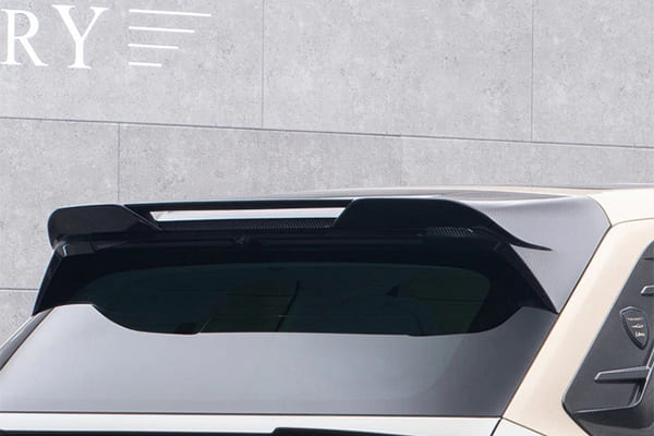 Обвес Mansory Zeekr 9X